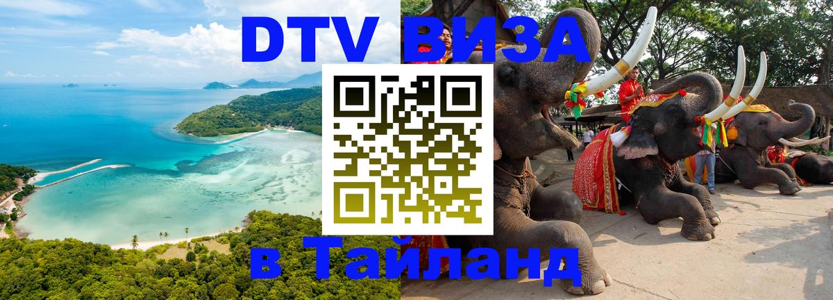 Сколько стоит DTV виза — актуальные цены, оформление даже без документов - 21.11.2025 